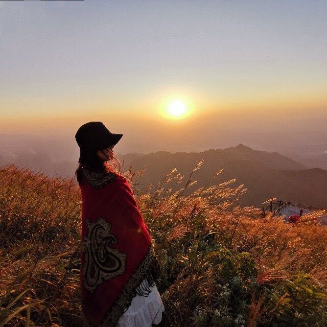 IT姑凉