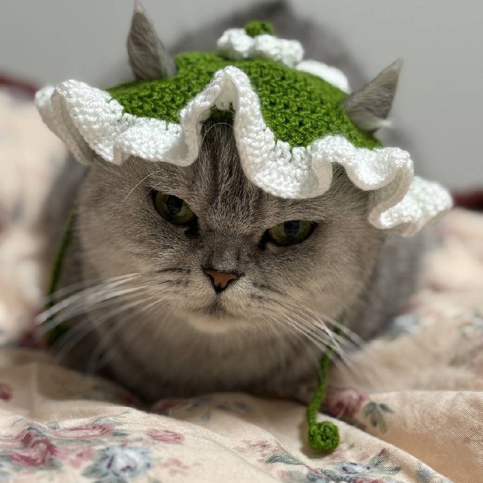 路漫漫其修远兮