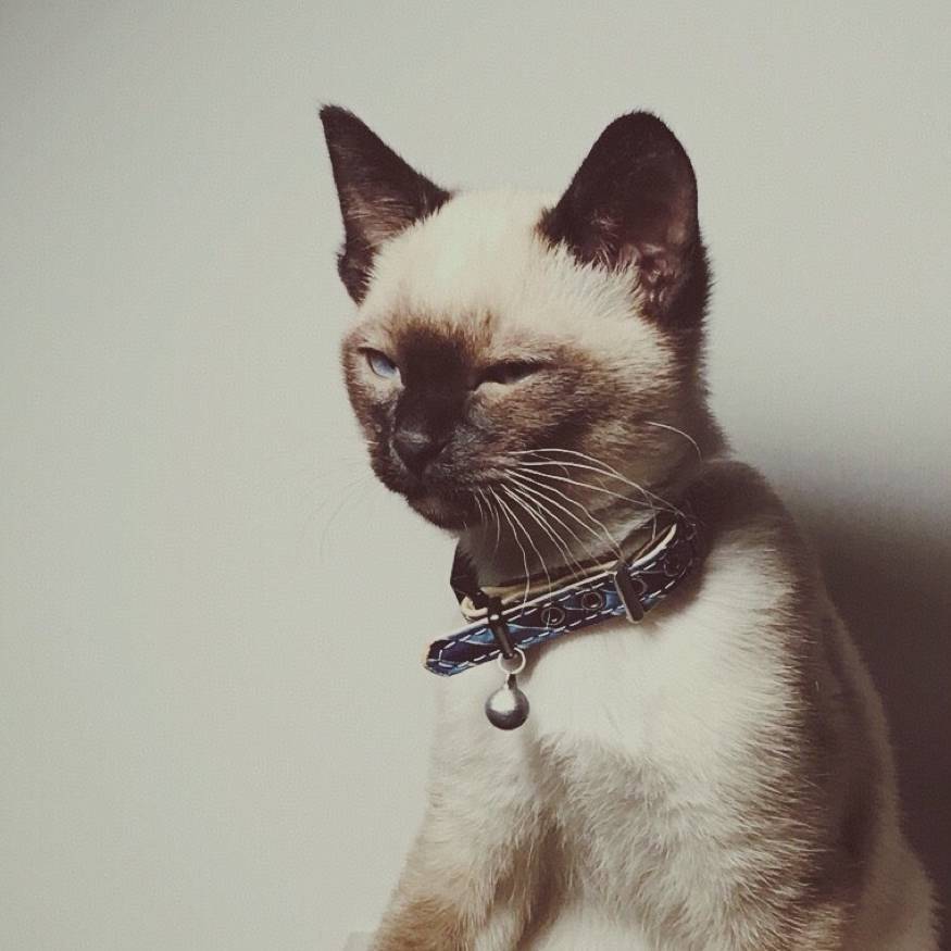 Hugo