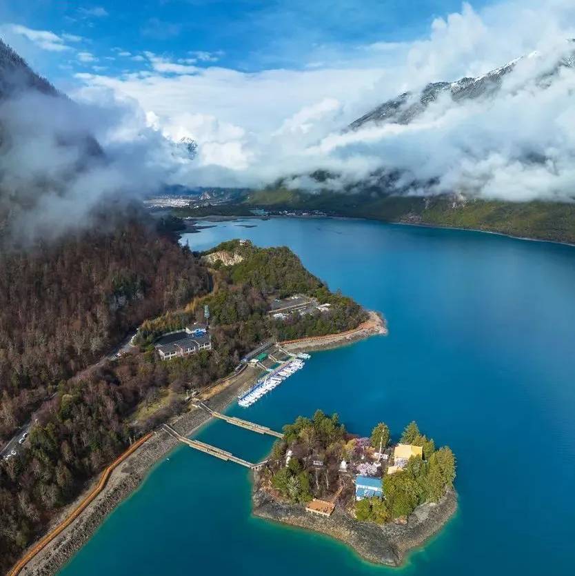 🇨🇳 葛雨18333190109