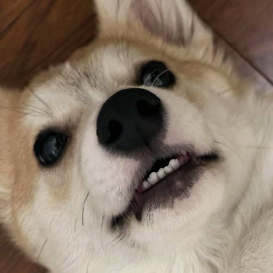 HikJ