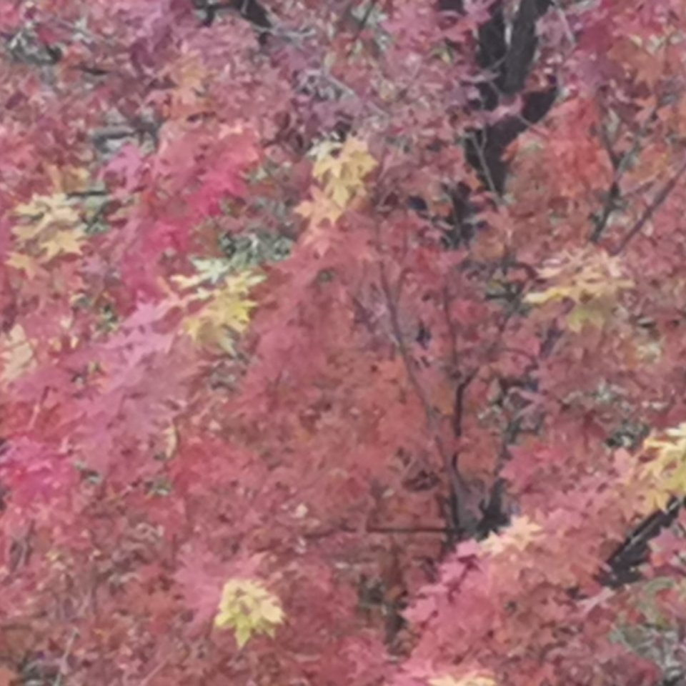 陈炯明