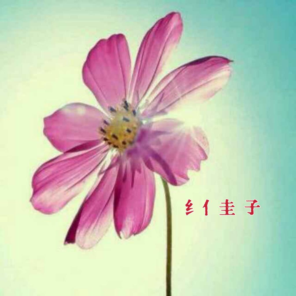 维子