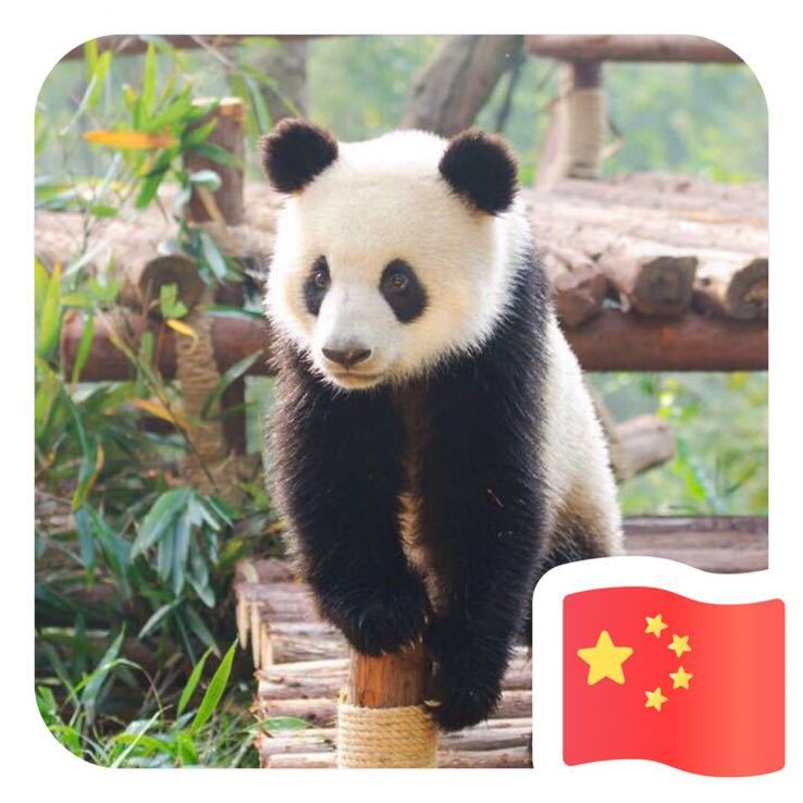 张磊