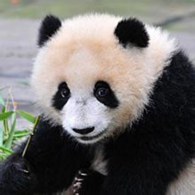 喂！有人偷了你的真钞