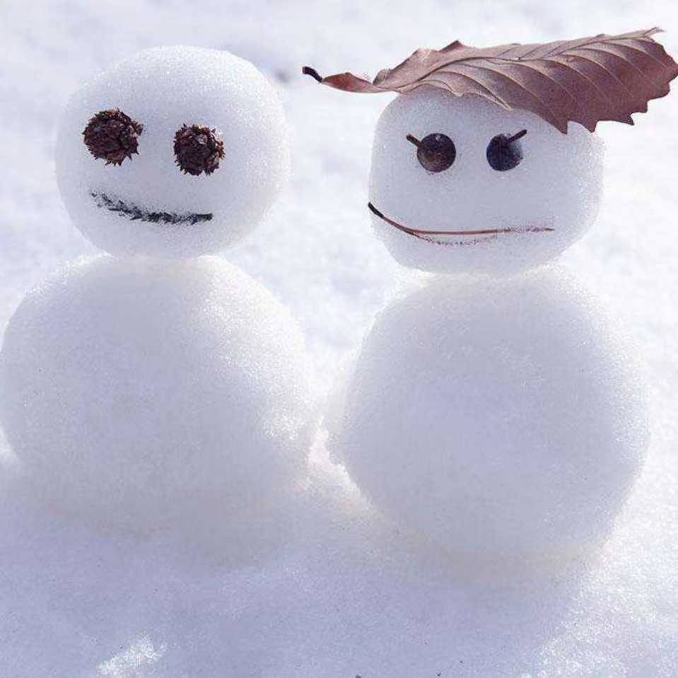 SnowBros🤔