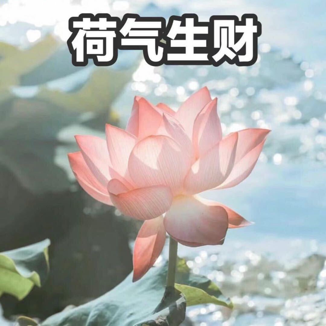 玲玲
