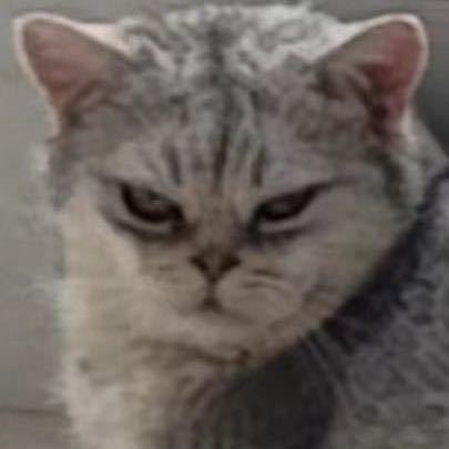 飓风