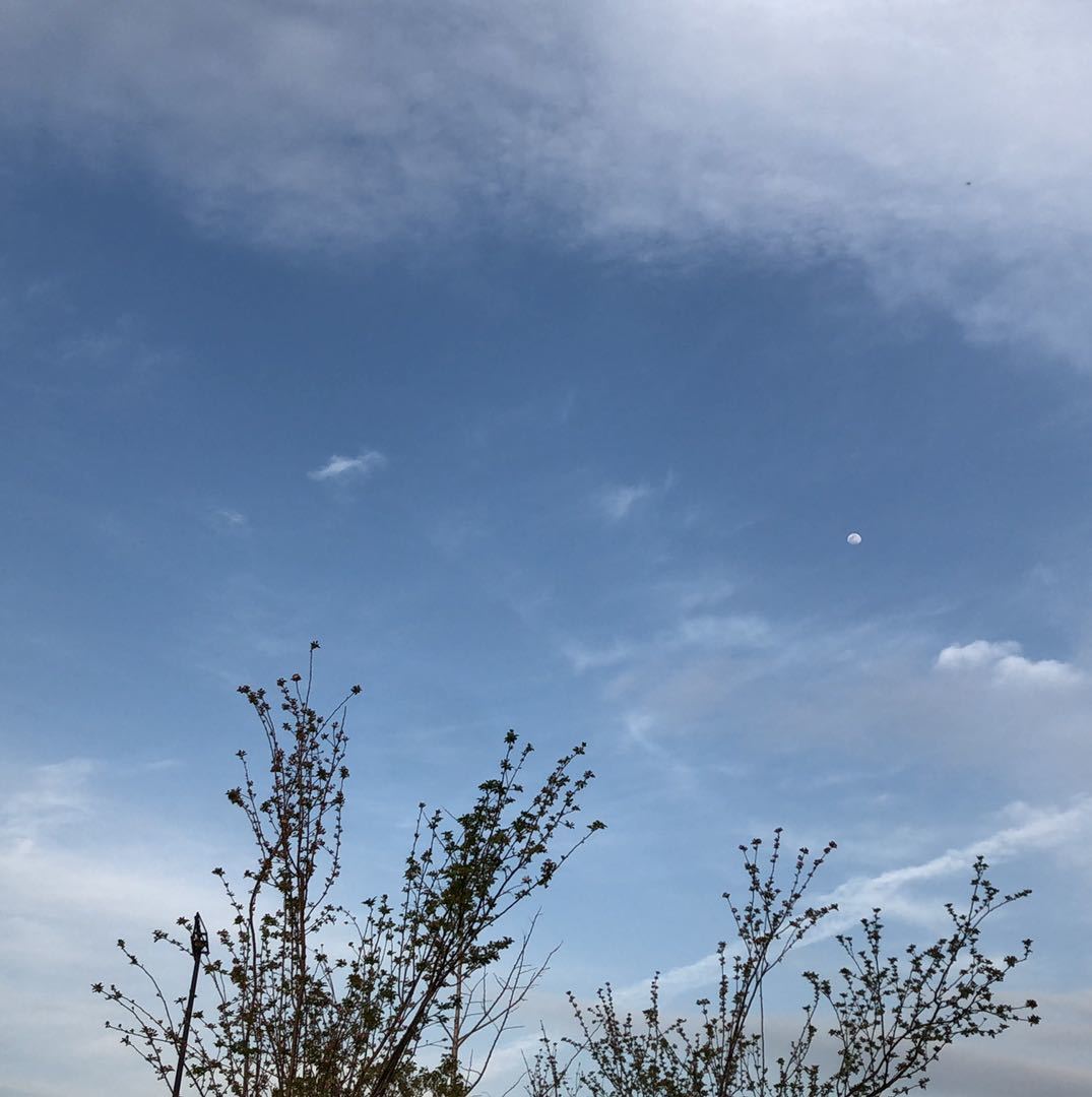春夏秋冬