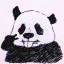 江南林熊猫