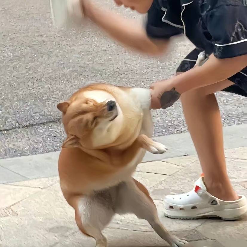 野人新之助