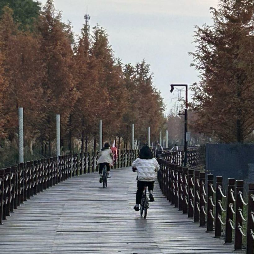李治国