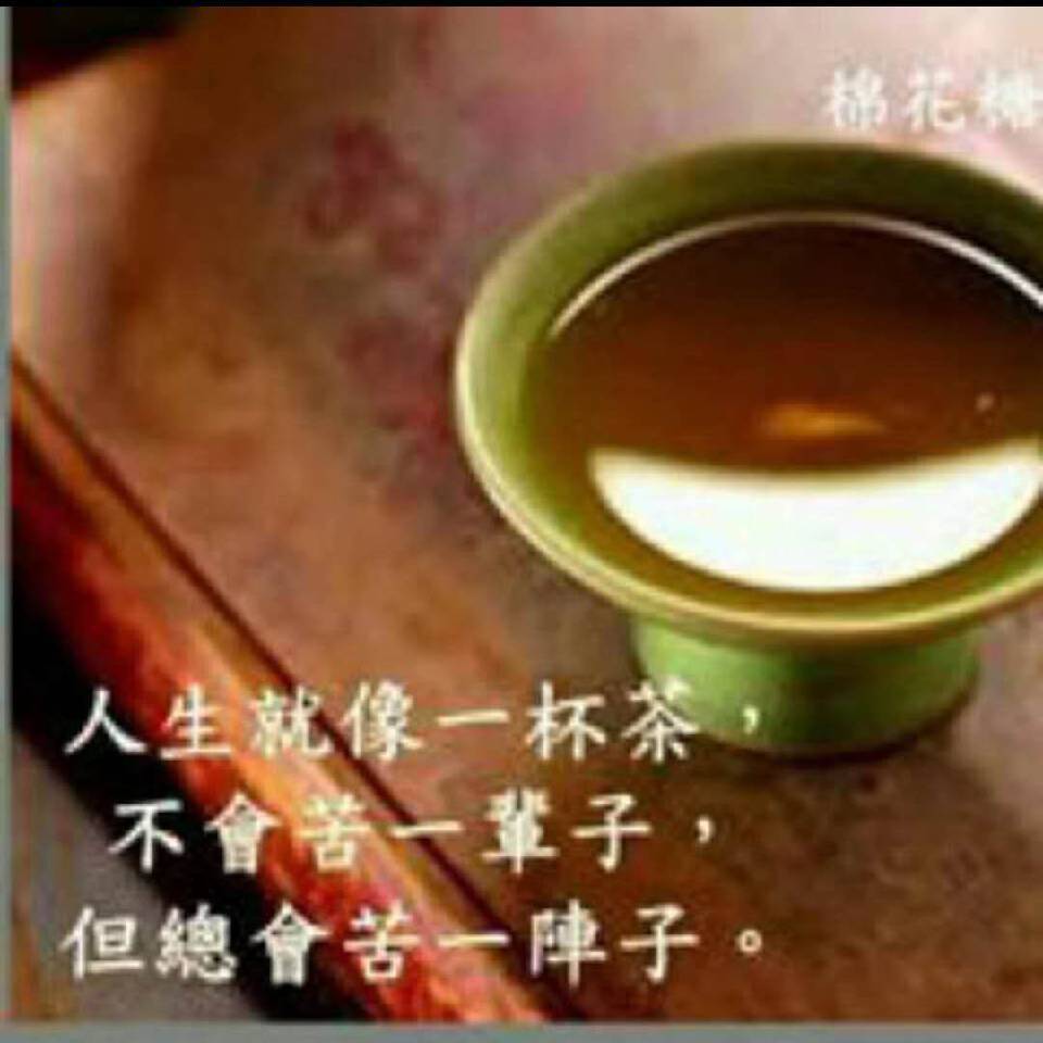 宋春桂