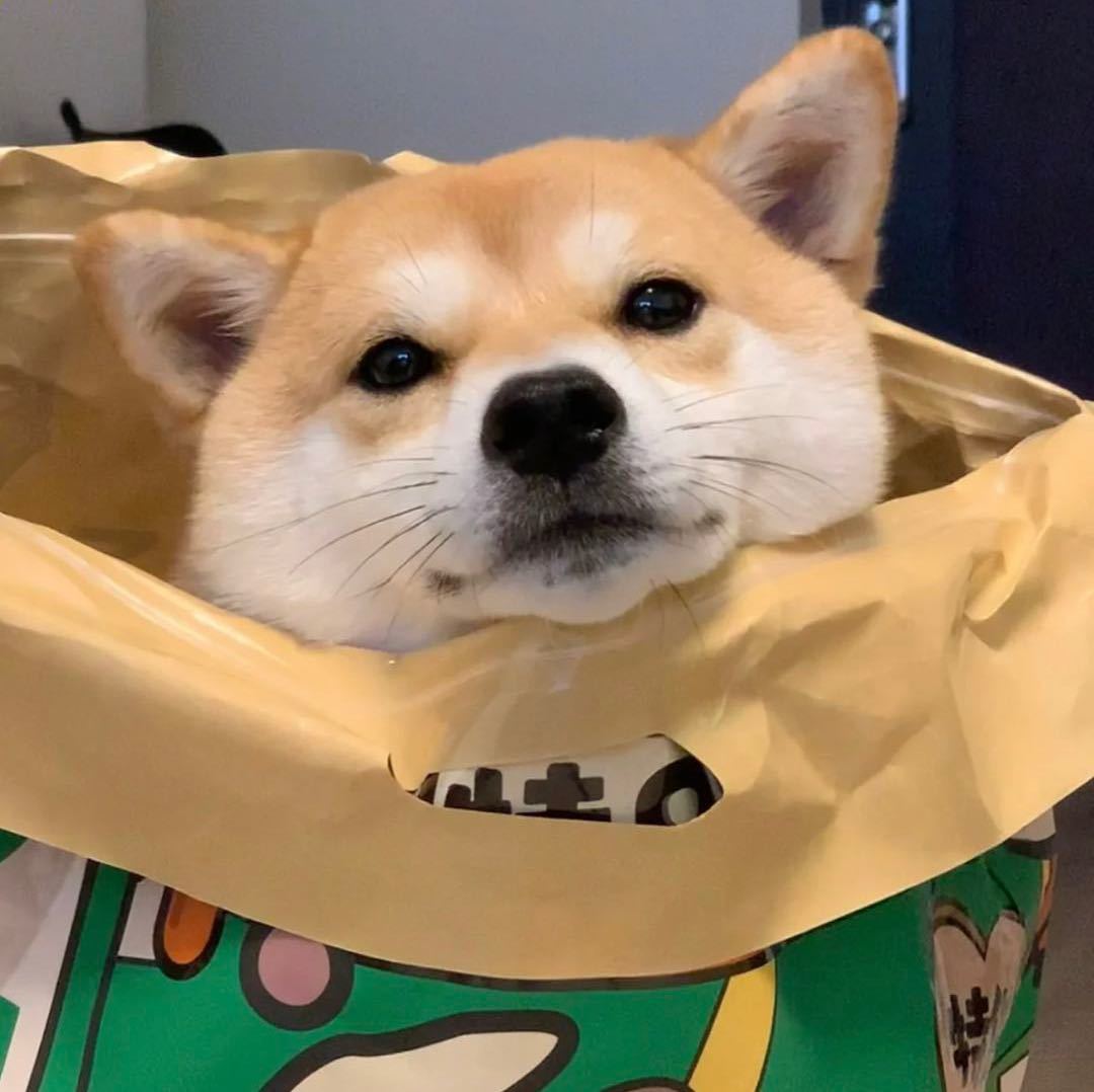 影*
