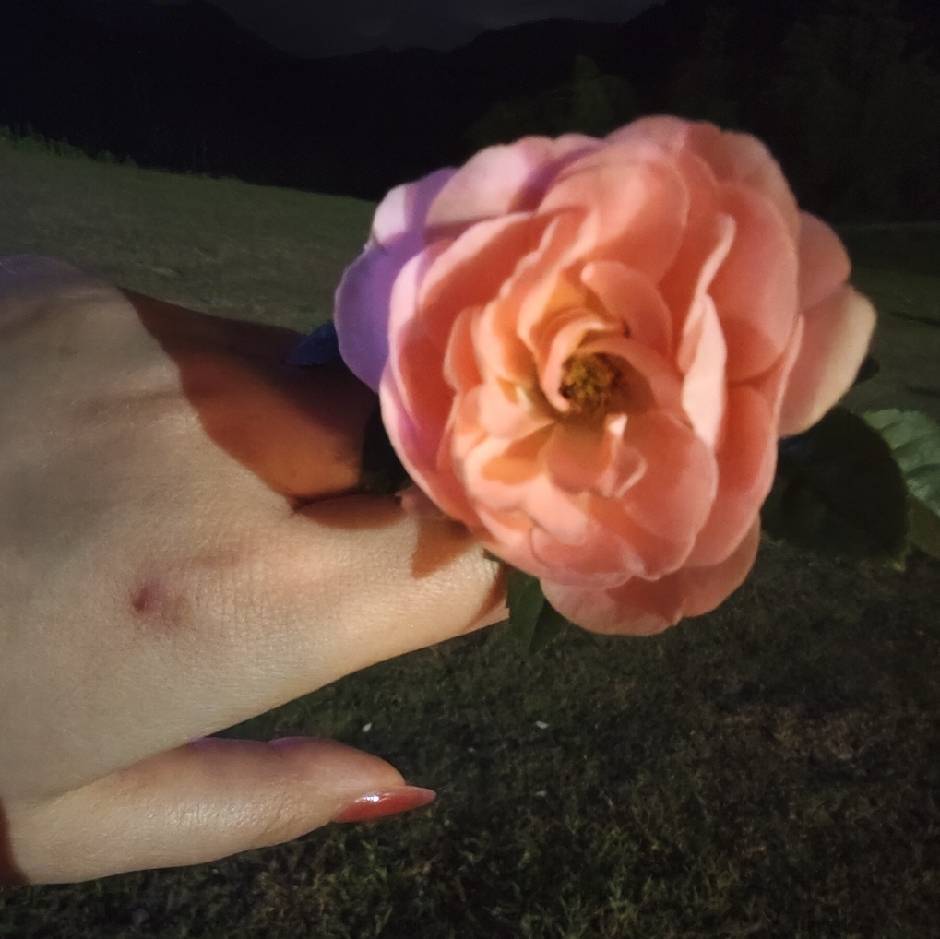 咖啡 之夜