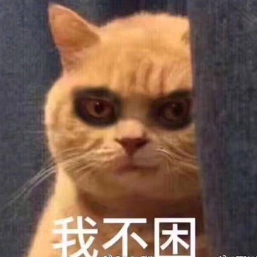 普京的彪悍人生