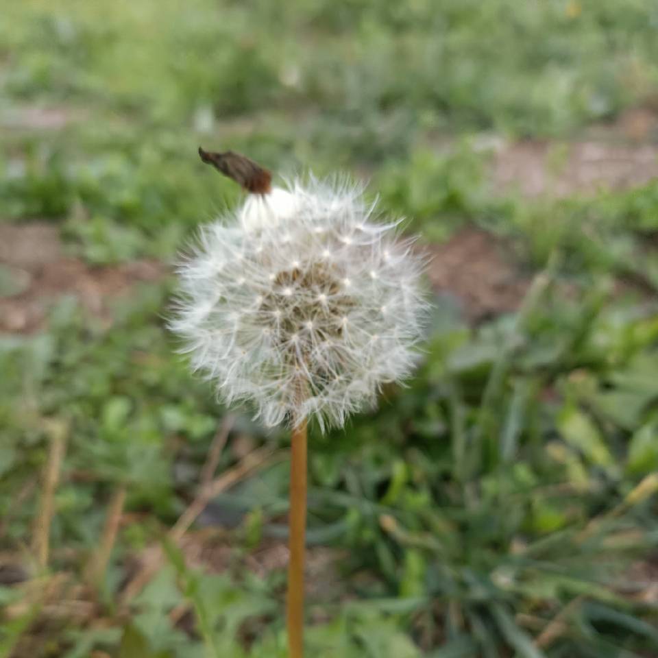 A~意大利都灵～阳阳