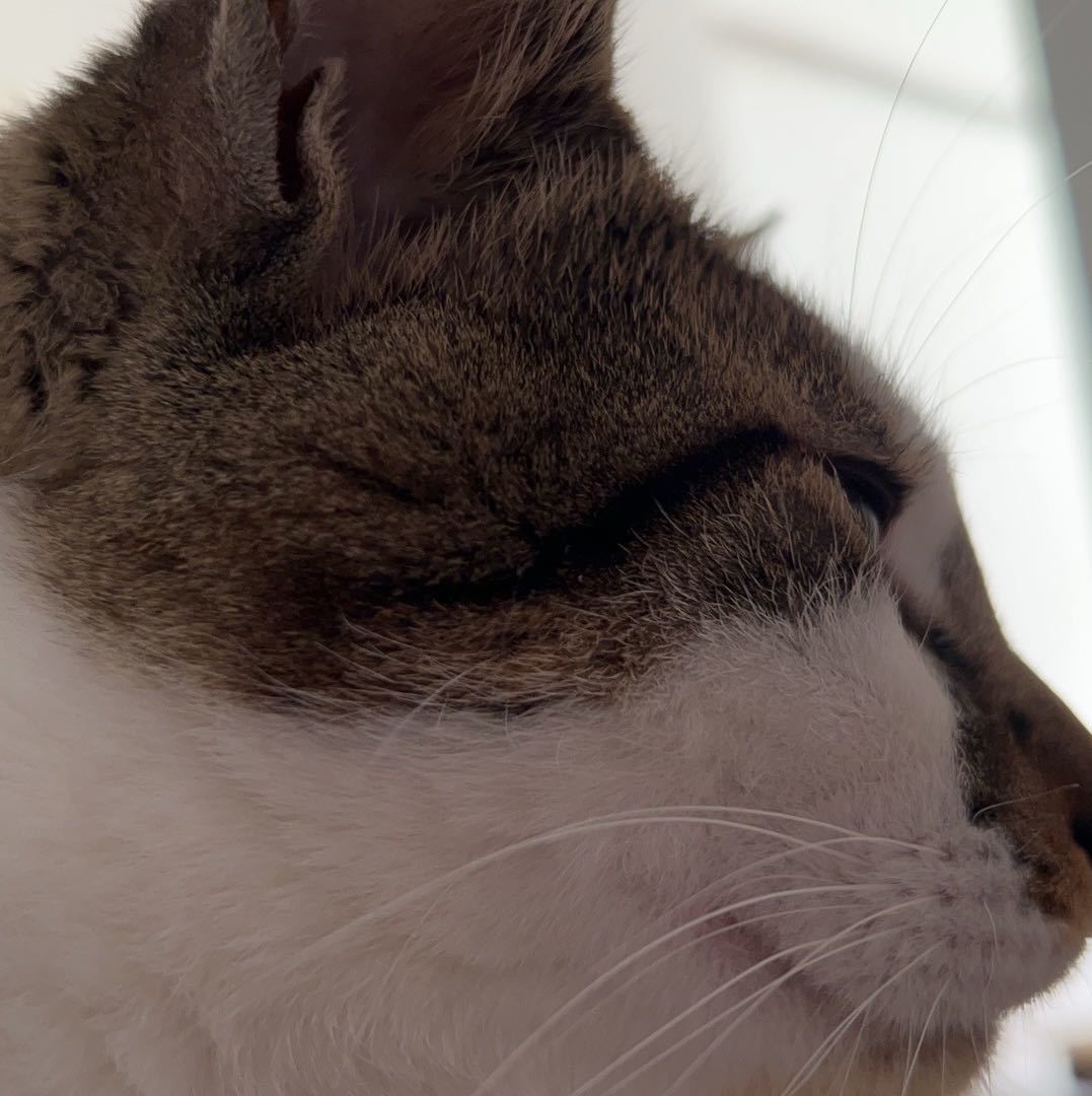 🐈小陈