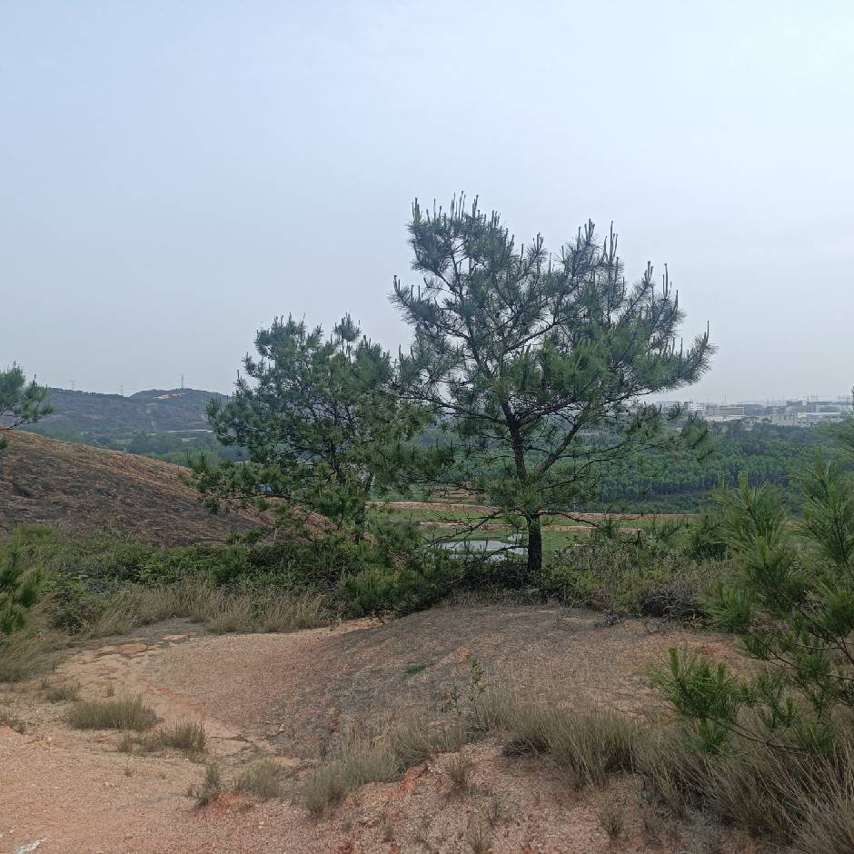 郭
