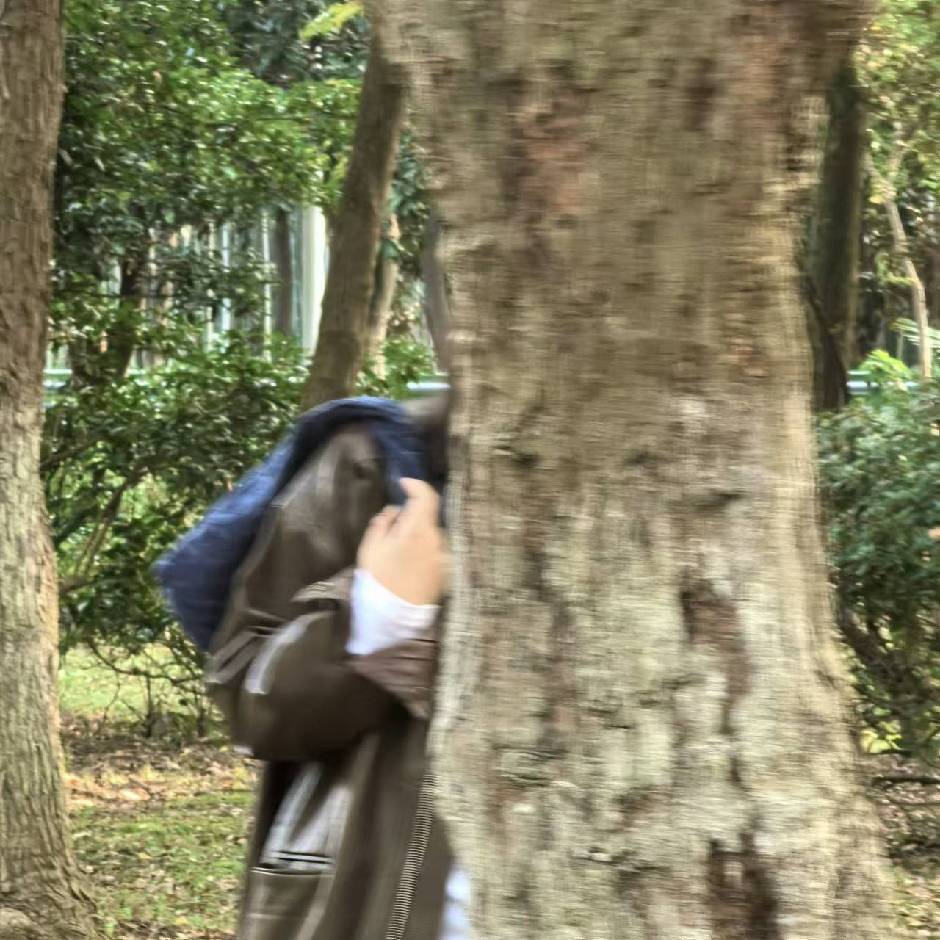成成成成成