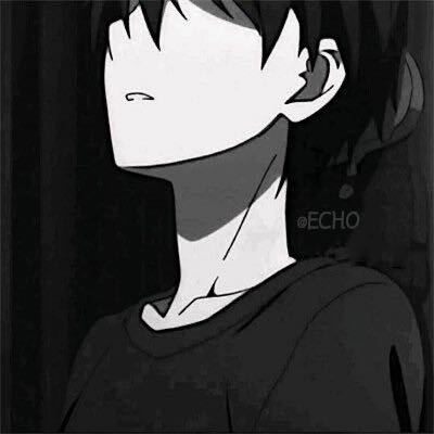 Echo