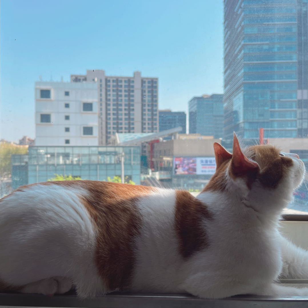 我是張海俠啦