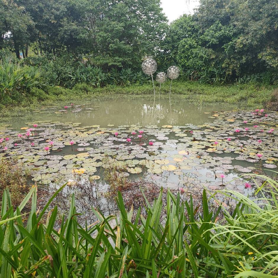 秦风古道