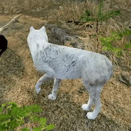 狼王传说
