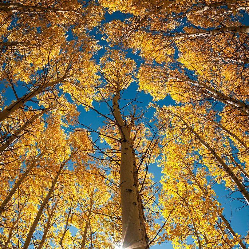 覃春萍15007208475