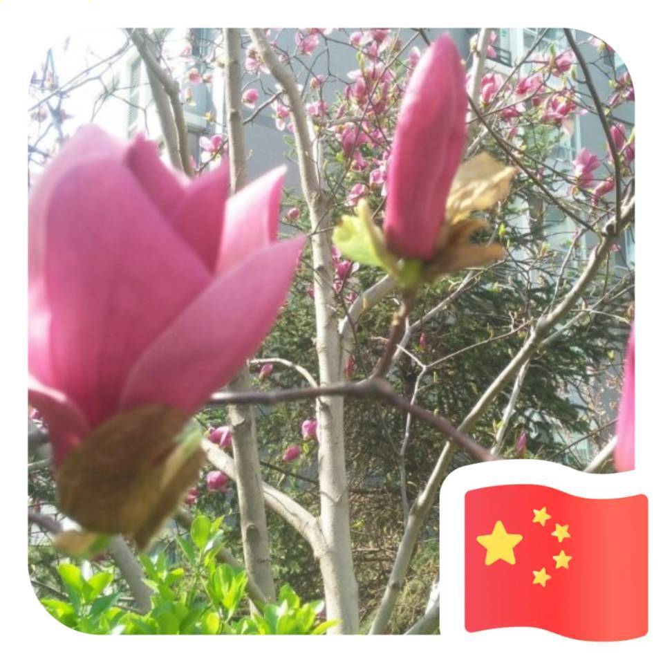 用戶頭像