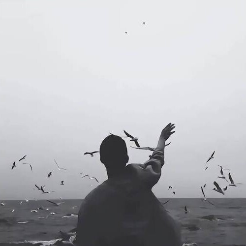 释放