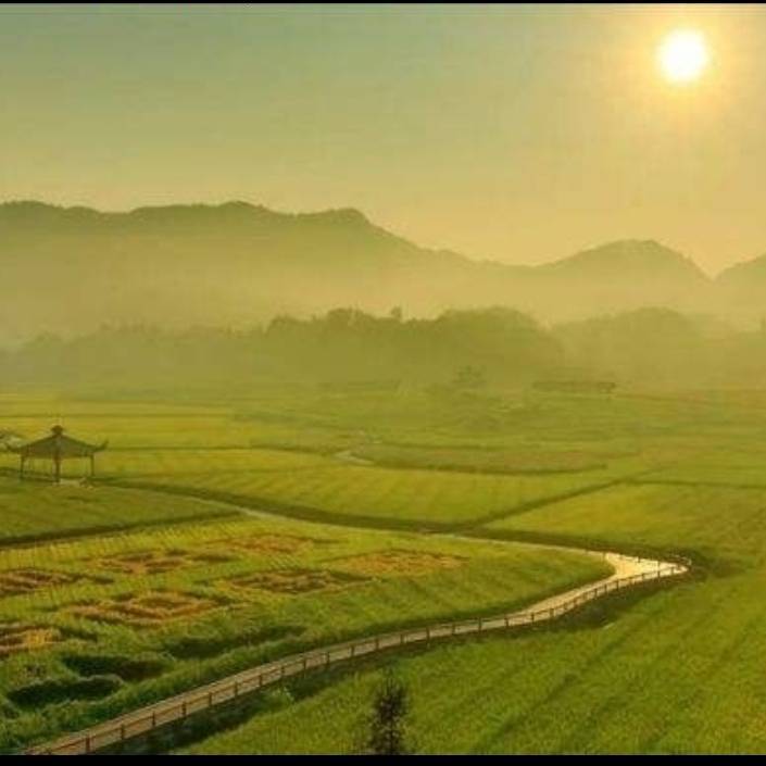 赵郑鸣  智能化