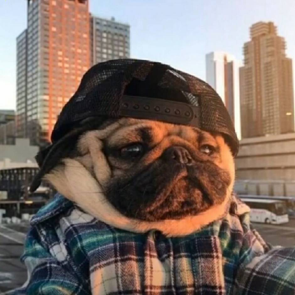 。