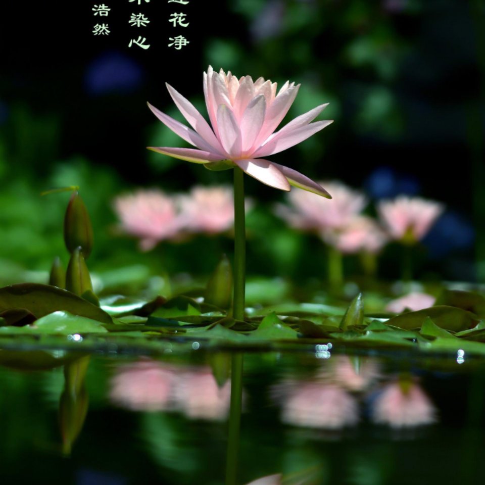 老王