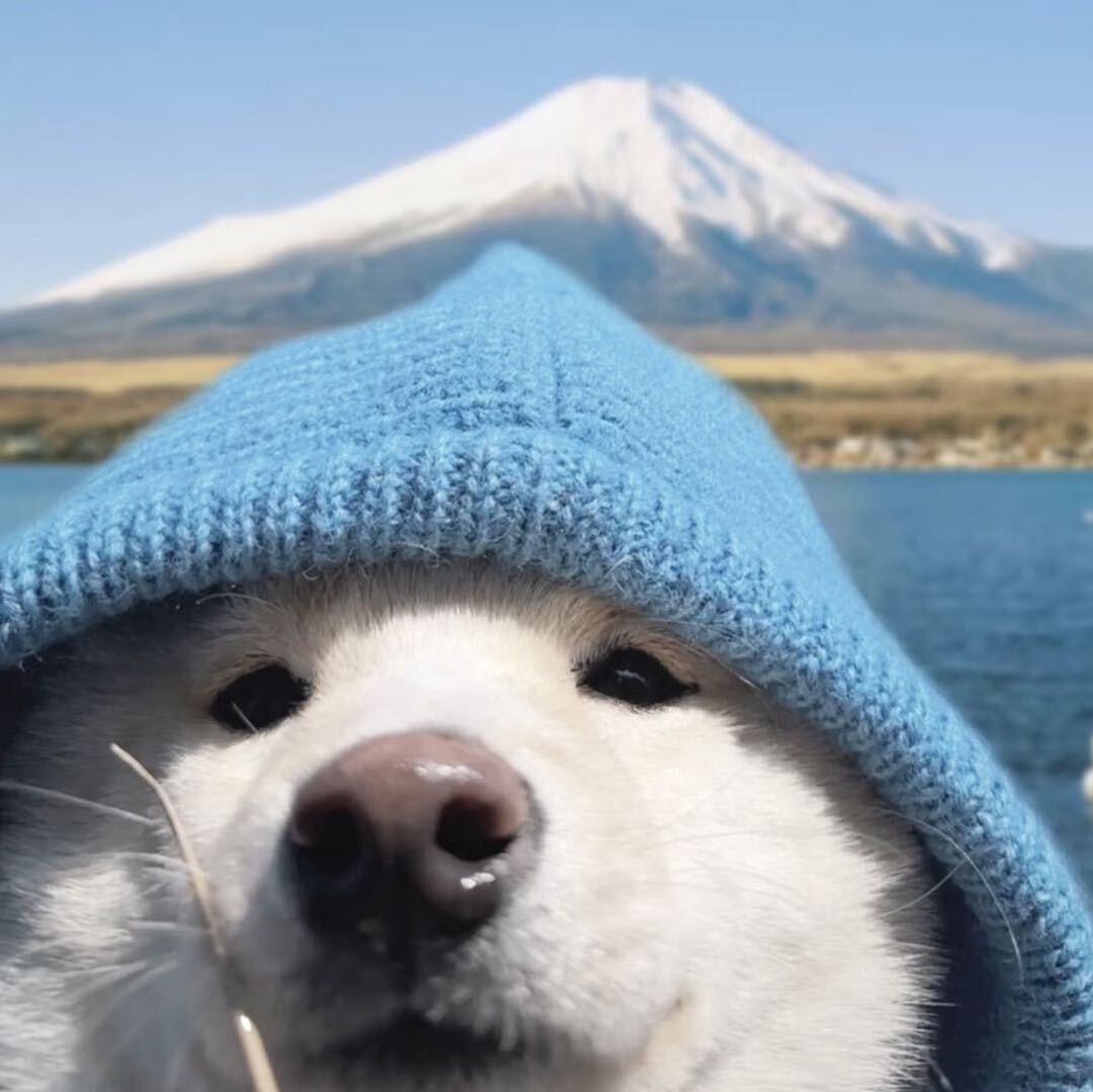 有点困了