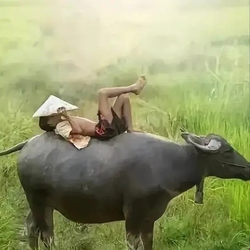 牧