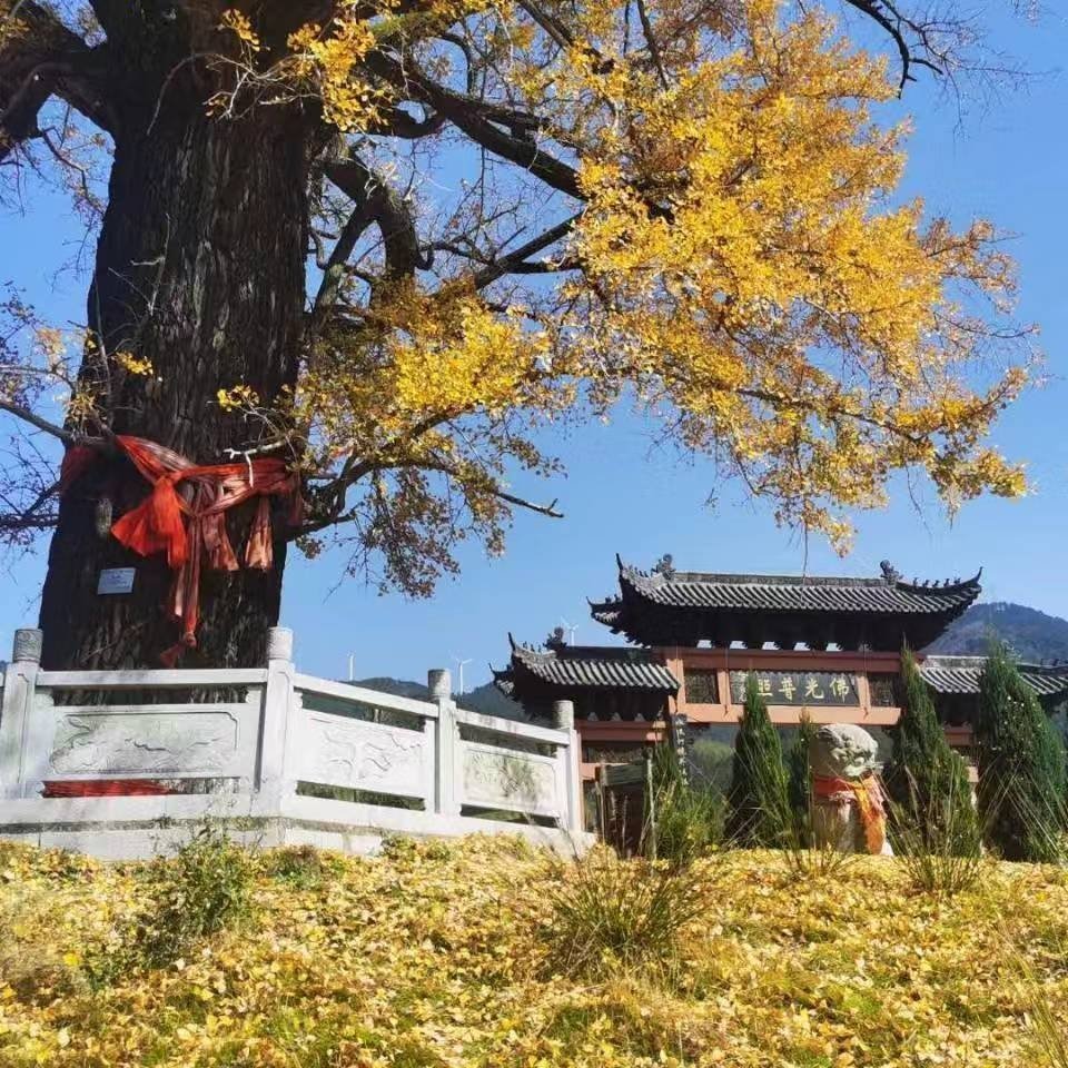 小时候真傻，居然盼着长大