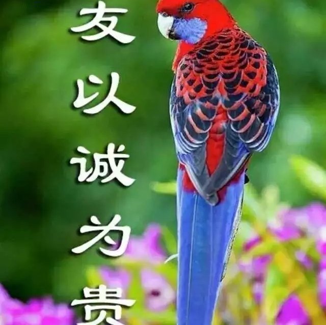 AF胜信