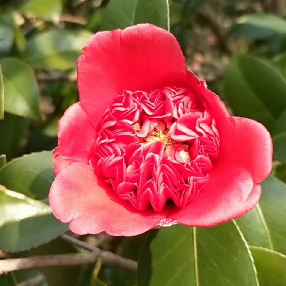 漂泊