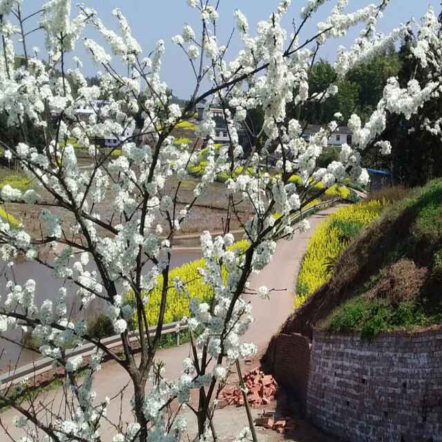 岁月，电话153884831O9