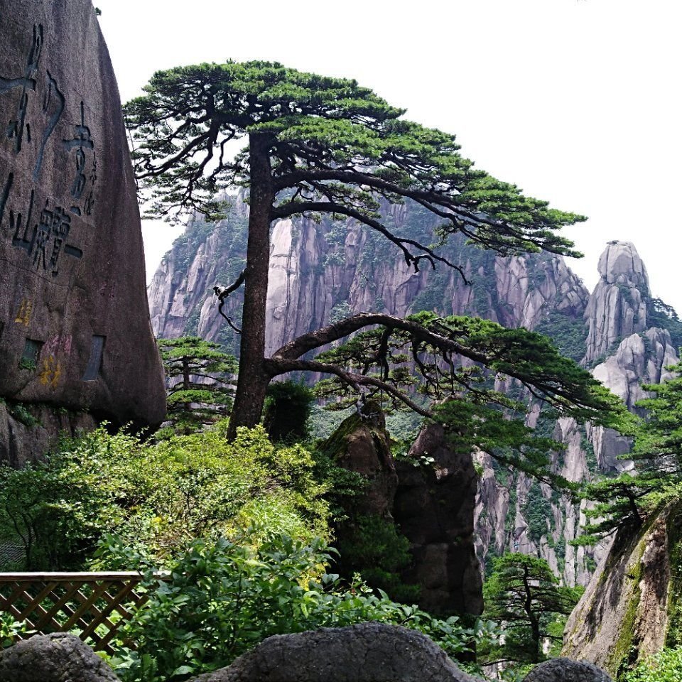 用戶頭像