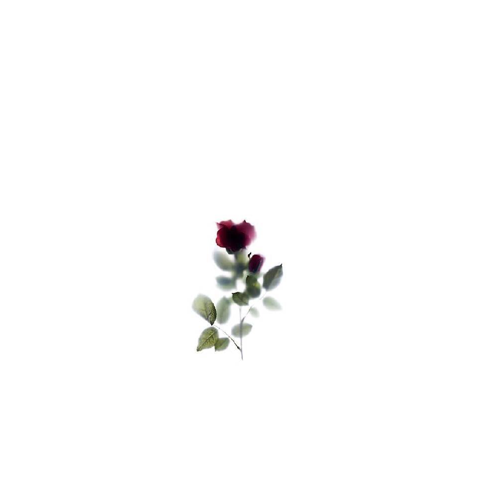 聚散