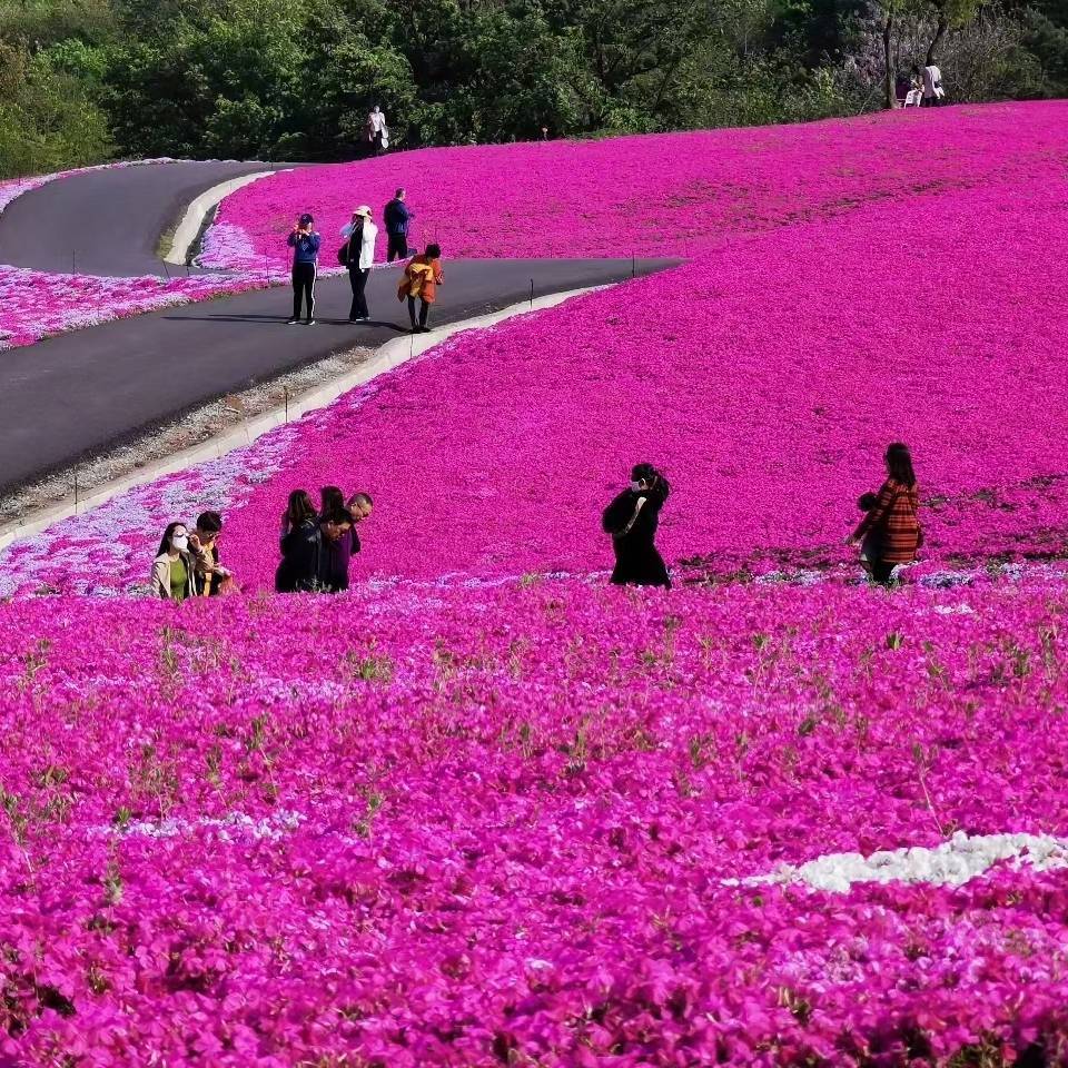风禾集团