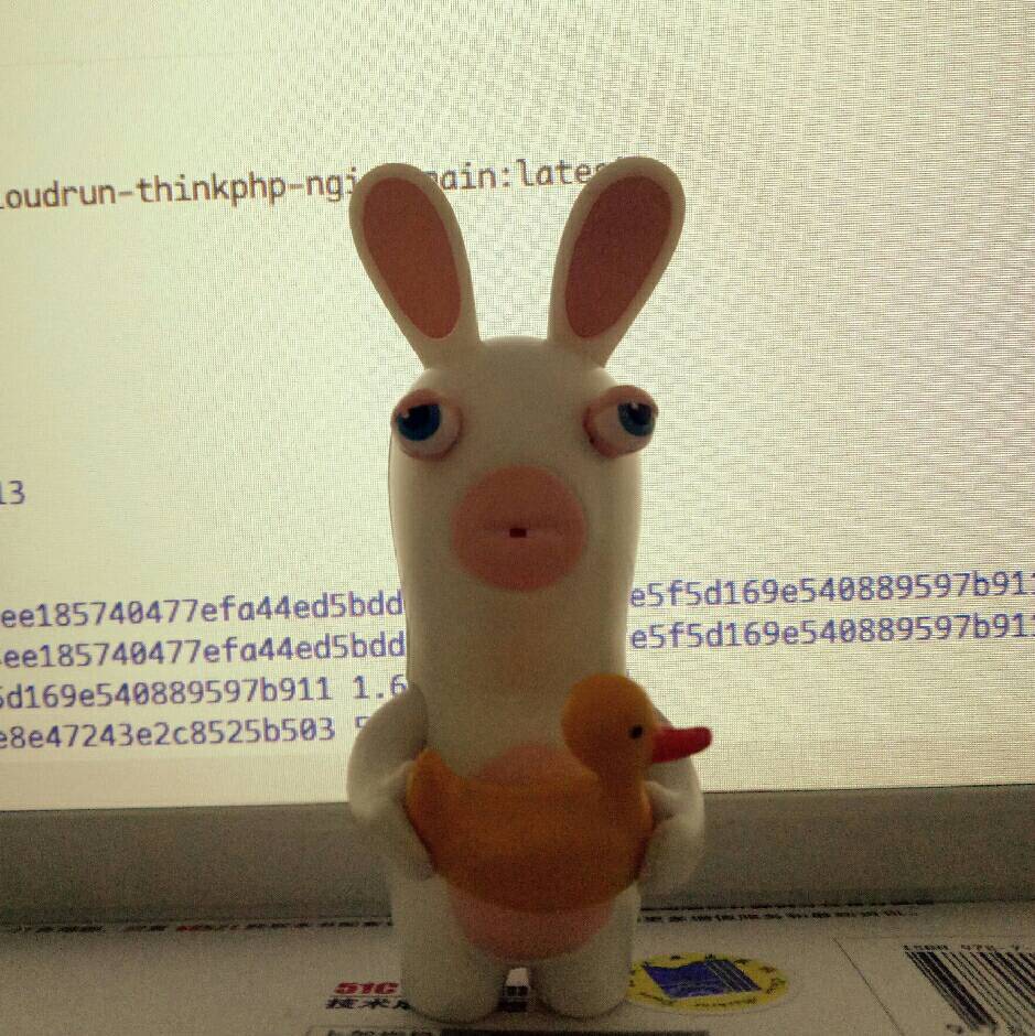 🐰麻兔子🐰