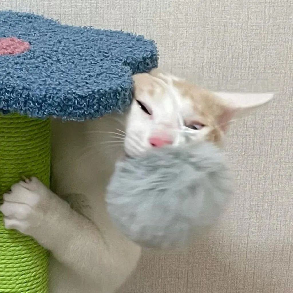 略