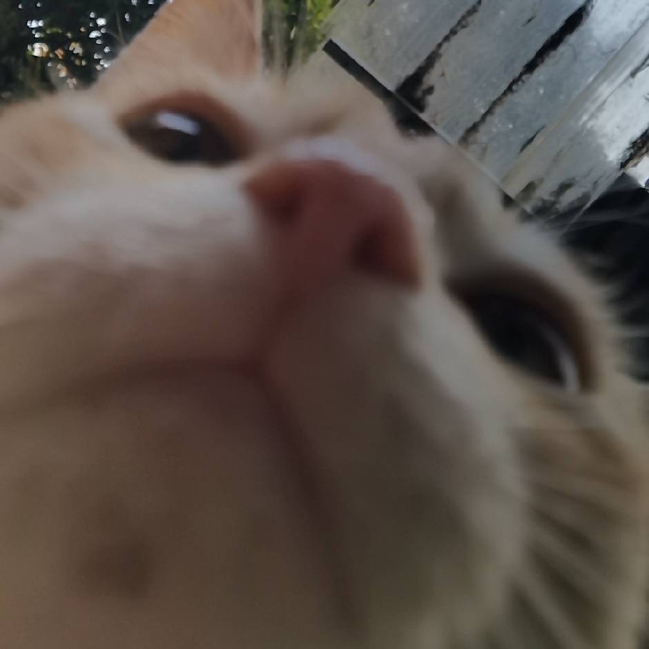 ᝰ