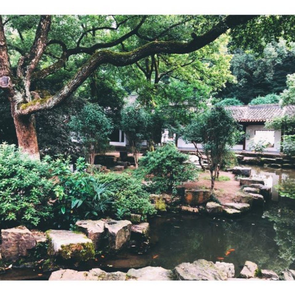 用戶頭像