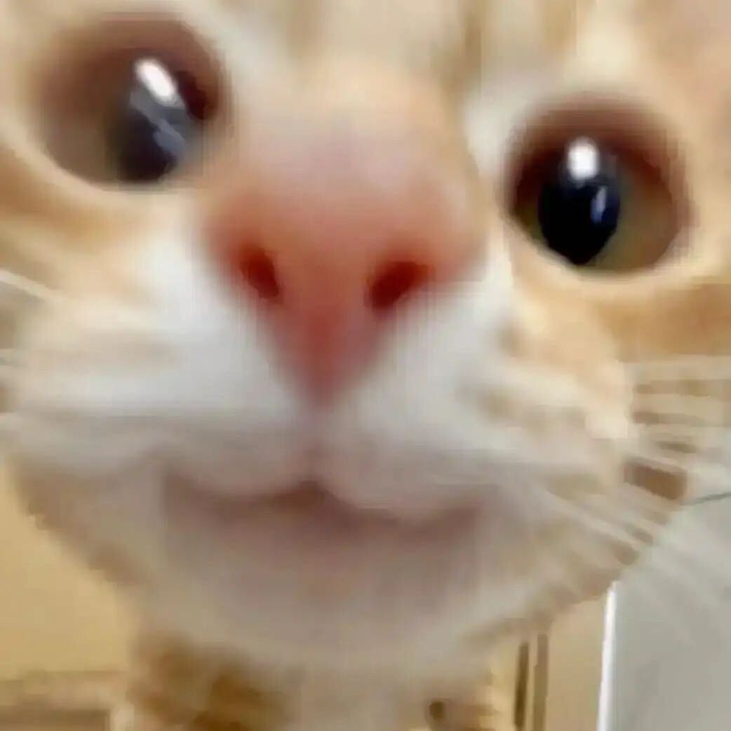 你真好看