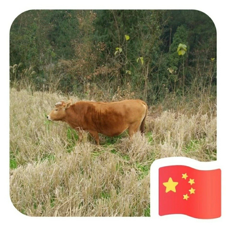 缘分
