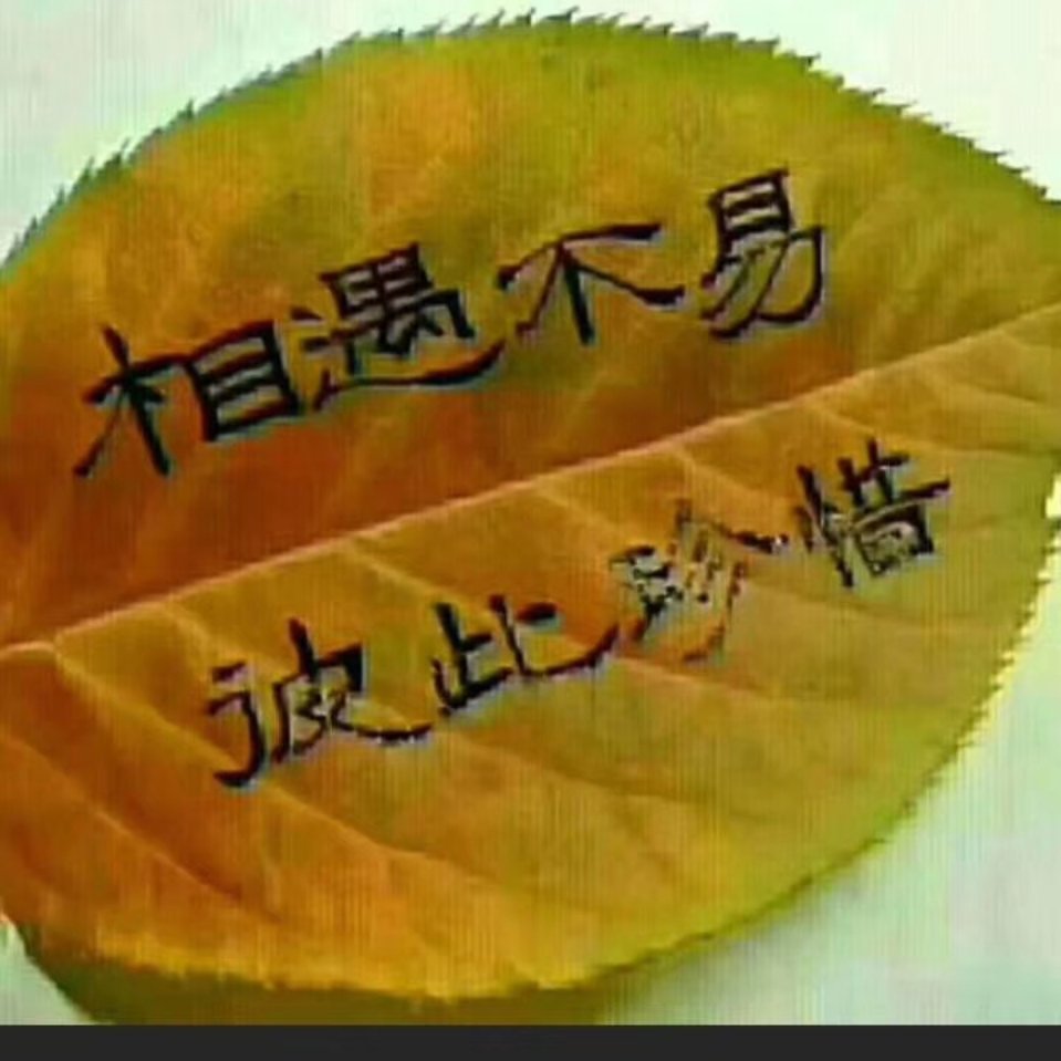 朱云海